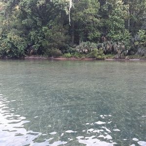 Meet your Posher, Joshua